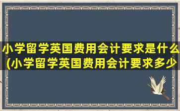 小学留学英国费用会计要求是什么(小学留学英国费用会计要求多少)