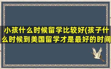 小孩什么时候留学比较好(孩子什么时候到美国留学才是最好的时间)