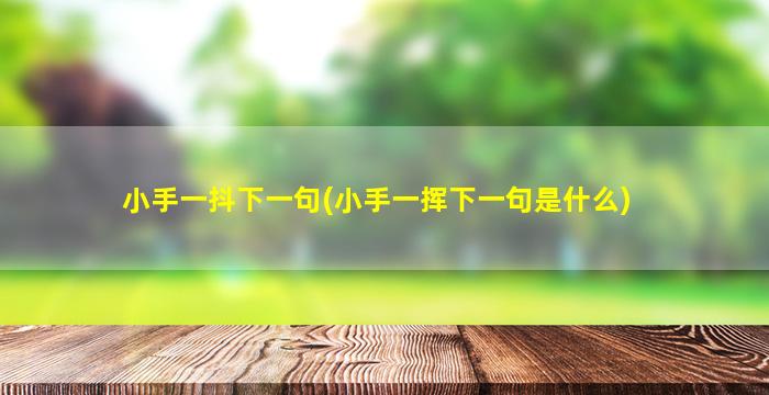 小手一抖下一句(小手一挥下一句是什么)