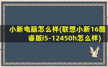 小新电脑怎么样(联想小新16酷睿版i5-12450h怎么样)