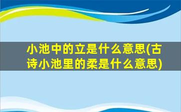 小池中的立是什么意思(古诗小池里的柔是什么意思)