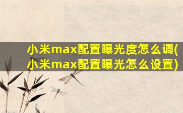 小米max配置曝光度怎么调(小米max配置曝光怎么设置)