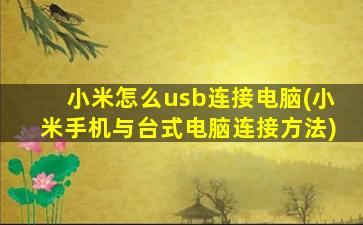 小米怎么usb连接电脑(小米手机与台式电脑连接方法)