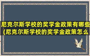 尼克尔斯学校的奖学金政策有哪些(尼克尔斯学校的奖学金政策怎么样)