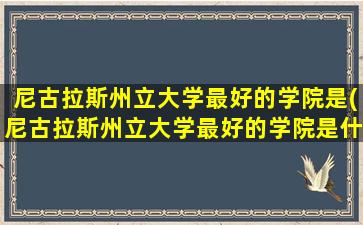 尼古拉斯州立大学最好的学院是(尼古拉斯州立大学最好的学院是什么)