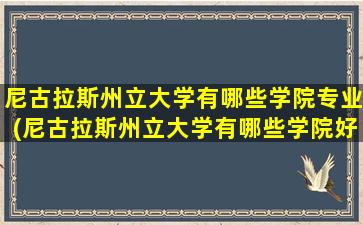 尼古拉斯州立大学有哪些学院专业(尼古拉斯州立大学有哪些学院好)