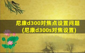 尼康d300对焦点设置问题(尼康d300s对焦设置)