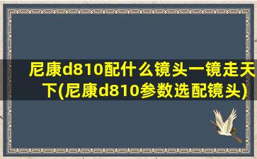 尼康d810配什么镜头一镜走天下(尼康d810参数选配镜头)