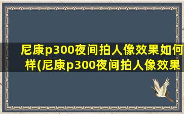 尼康p300夜间拍人像效果如何样(尼康p300夜间拍人像效果如何调)