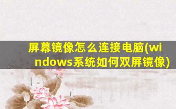 屏幕镜像怎么连接电脑(windows系统如何双屏镜像)