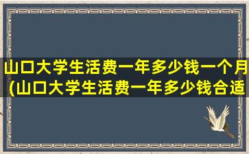 山口大学生活费一年多少钱一个月(山口大学生活费一年多少钱合适)