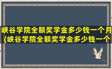 峡谷学院全额奖学金多少钱一个月(峡谷学院全额奖学金多少钱一个)