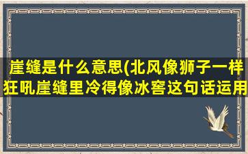 崖缝是什么意思(北风像狮子一样狂吼崖缝里冷得像冰窖这句话运用了比喻的修辞手法写出了什么)