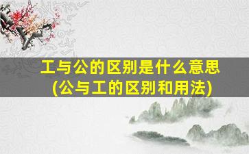 工与公的区别是什么意思(公与工的区别和用法)