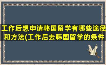 工作后想申请韩国留学有哪些途径和方法(工作后去韩国留学的条件)