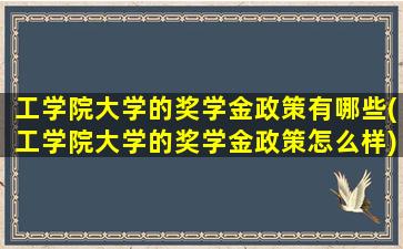 工学院大学的奖学金政策有哪些(工学院大学的奖学金政策怎么样)