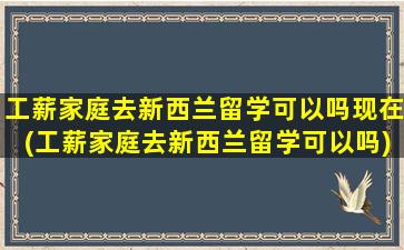 工薪家庭去新西兰留学可以吗现在(工薪家庭去新西兰留学可以吗)