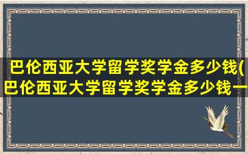 巴伦西亚大学留学奖学金多少钱(巴伦西亚大学留学奖学金多少钱一个月)