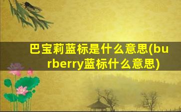 巴宝莉蓝标是什么意思(burberry蓝标什么意思)