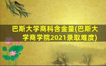 巴斯大学商科含金量(巴斯大学商学院2021录取难度)