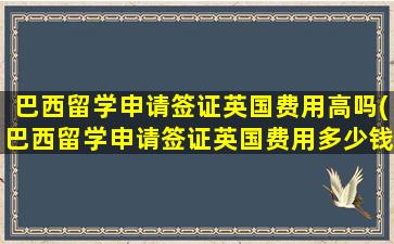 巴西留学申请签证英国费用高吗(巴西留学申请签证英国费用多少钱)