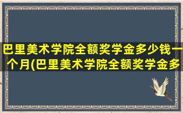 巴里美术学院全额奖学金多少钱一个月(巴里美术学院全额奖学金多少钱啊)