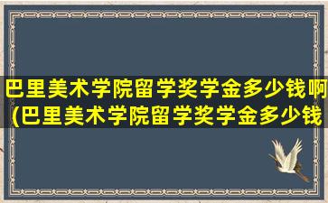 巴里美术学院留学奖学金多少钱啊(巴里美术学院留学奖学金多少钱一个月)