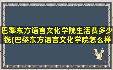 巴黎东方语言文化学院生活费多少钱(巴黎东方语言文化学院怎么样)