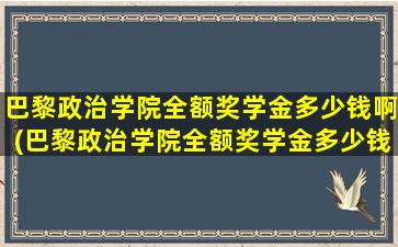 巴黎政治学院全额奖学金多少钱啊(巴黎政治学院全额奖学金多少钱一个月)