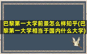 巴黎第一大学前景怎么样知乎(巴黎第一大学相当于国内什么大学)