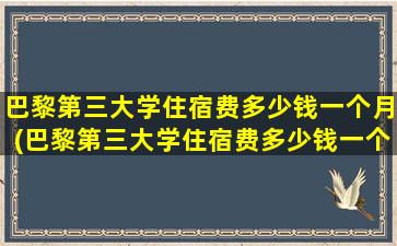 巴黎第三大学住宿费多少钱一个月(巴黎第三大学住宿费多少钱一个月)