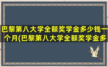 巴黎第八大学全额奖学金多少钱一个月(巴黎第八大学全额奖学金多少钱啊)