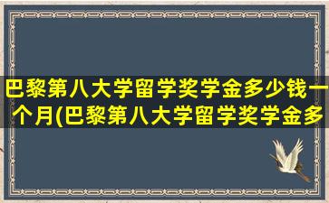 巴黎第八大学留学奖学金多少钱一个月(巴黎第八大学留学奖学金多少钱啊)