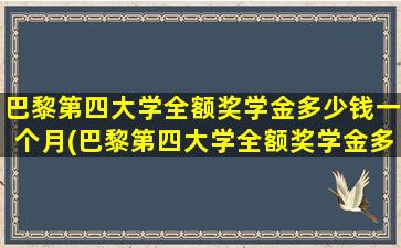 巴黎第四大学全额奖学金多少钱一个月(巴黎第四大学全额奖学金多少钱啊)