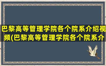 巴黎高等管理学院各个院系介绍视频(巴黎高等管理学院各个院系介绍)