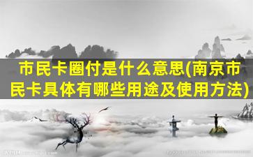 市民卡圈付是什么意思(南京市民卡具体有哪些用途及使用方法)