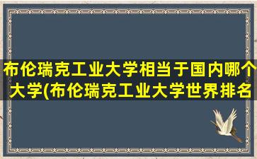 布伦瑞克工业大学相当于国内哪个大学(布伦瑞克工业大学世界排名)