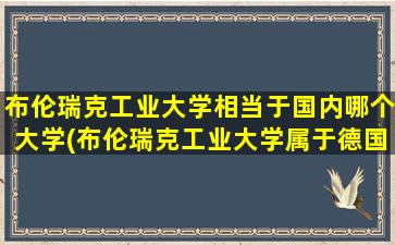 布伦瑞克工业大学相当于国内哪个大学(布伦瑞克工业大学属于德国哪个城市)