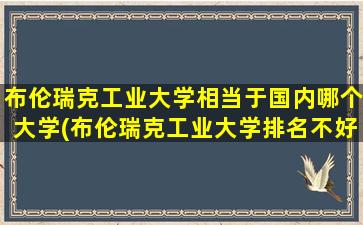 布伦瑞克工业大学相当于国内哪个大学(布伦瑞克工业大学排名不好)