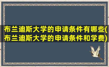 布兰迪斯大学的申请条件有哪些(布兰迪斯大学的申请条件和学费)