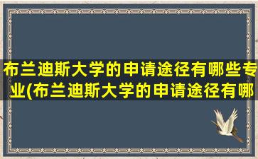 布兰迪斯大学的申请途径有哪些专业(布兰迪斯大学的申请途径有哪些英语)