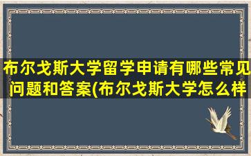 布尔戈斯大学留学申请有哪些常见问题和答案(布尔戈斯大学怎么样)