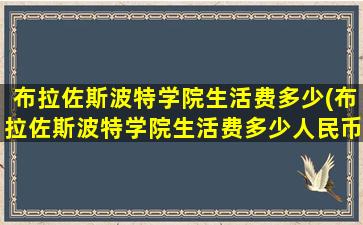 布拉佐斯波特学院生活费多少(布拉佐斯波特学院生活费多少人民币)