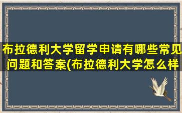 布拉德利大学留学申请有哪些常见问题和答案(布拉德利大学怎么样)