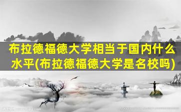 布拉德福德大学相当于国内什么水平(布拉德福德大学是名校吗)