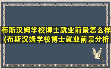 布斯汉姆学校博士就业前景怎么样(布斯汉姆学校博士就业前景分析)