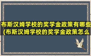 布斯汉姆学校的奖学金政策有哪些(布斯汉姆学校的奖学金政策怎么样)