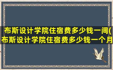 布斯设计学院住宿费多少钱一间(布斯设计学院住宿费多少钱一个月)