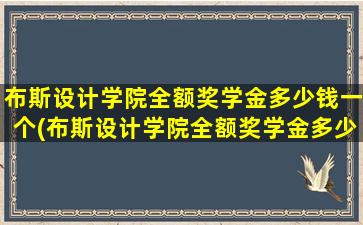 布斯设计学院全额奖学金多少钱一个(布斯设计学院全额奖学金多少钱一个月)