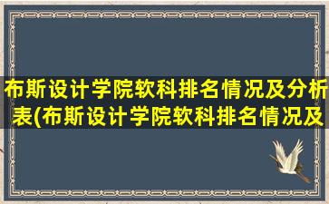 布斯设计学院软科排名情况及分析表(布斯设计学院软科排名情况及分析图)